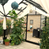 SCANDIC THOR 16,6 ORANGERI