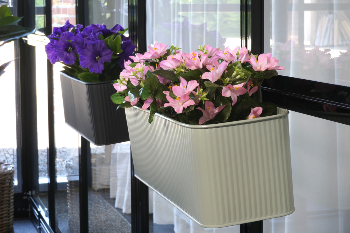 Blomsterkasse Grøn Buet Ophæng