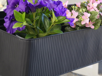 Blomsterkasse Grøn Flad Ophæng